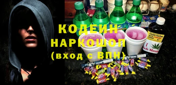 шишки Аркадак