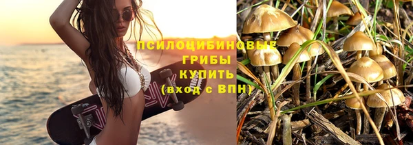 шишки Аркадак