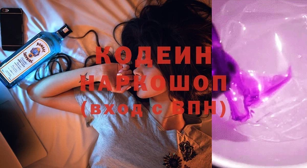шишки Аркадак