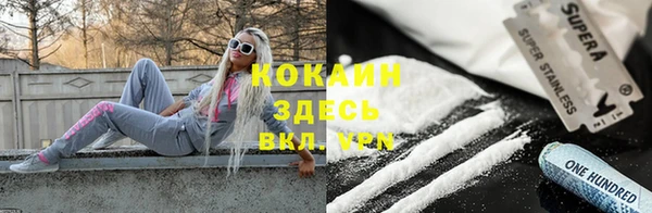шишки Аркадак