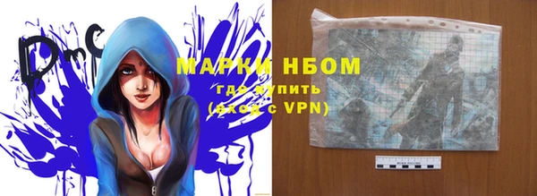 шишки Аркадак